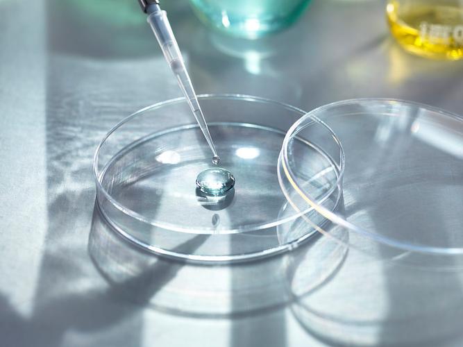 人工供卵试管代怀【人工供卵试管代怀:助您圆梦成为父母】