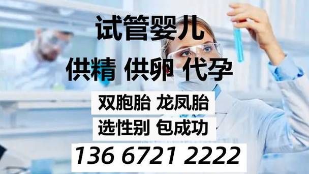 试管供卵试管代怀哪家专业(专业试管供卵代怀服务哪家好)