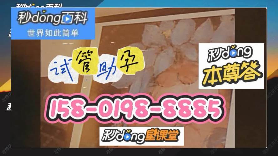 医院供卵试管代怀机构(医院供卵试管代怀机构:助您圆梦生育)