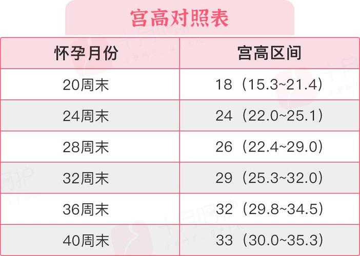 试管供卵试管代怀怎么收费【试管供卵试管代怀收费解析】