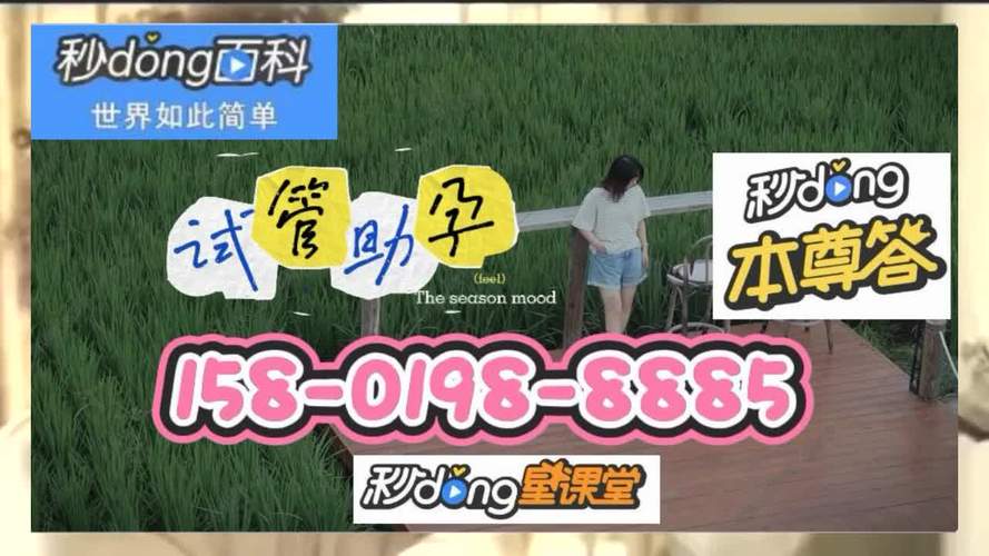 供卵试管代怀产子过程【供卵试管代怀产子:一场奇迹的孕育之旅】