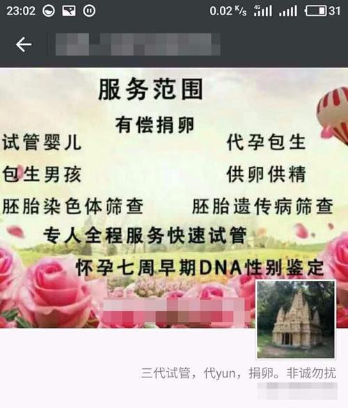 供卵试管代怀网译【供卵试管代怀服务网译中心】