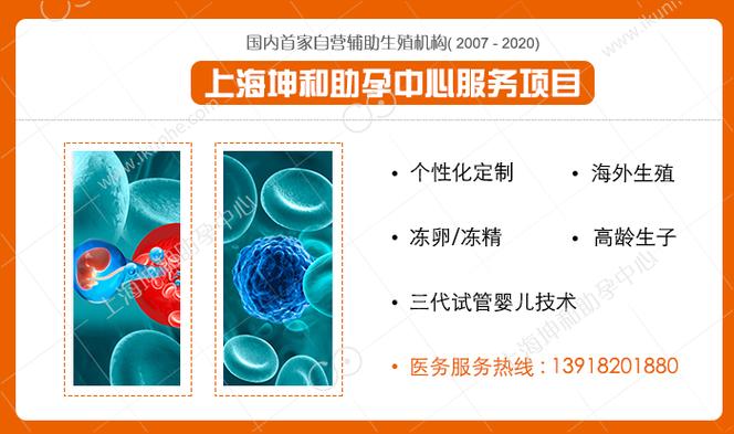 供卵试管代怀违法吗-供卵试管代怀违法吗?法律与道德的边界探讨