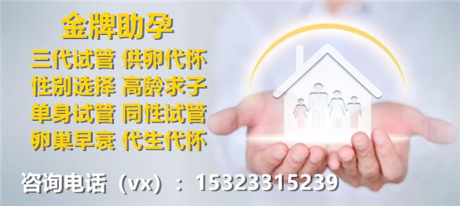 国内供卵试管代怀公司(国内供卵试管代怀公司:助您实现梦想)