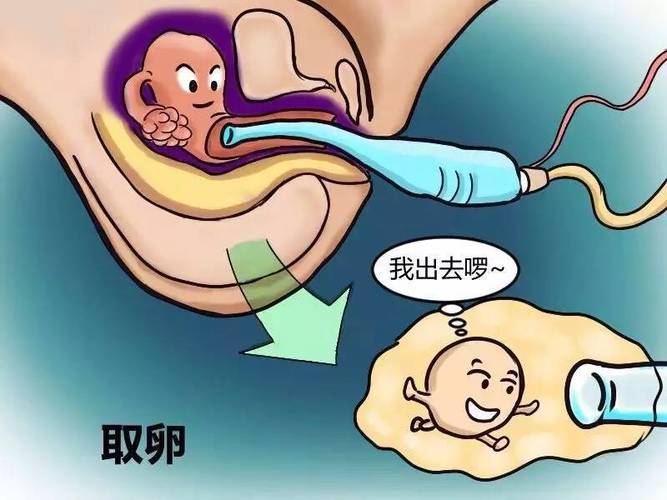 安全的供卵试管代怀_安全供卵试管代怀:您的健康和安全是我们的首要任务